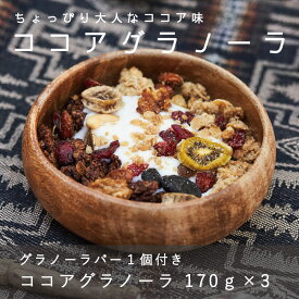 【ふるさと納税】 グラノーラ 手作り 自家製 KOO’S GARDEN ココアグラノーラ ココア ココア味 焼き菓子 保存料不使用 着色料不使用 無添加 北海道 当麻町 朝食 お菓子 お取り寄せ 登山 アウトドア ガイド スポーツ キャンプ グルメ 送料無料 クーズガーデン