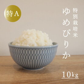 【ふるさと納税】令和5年産 ゆめぴりか 特別栽培米 10kg 減農薬 低農薬 特A米 特A こめ 米 精米 当麻町 舟山農産 北海道産 北海道米 送料無料 お取り寄せ