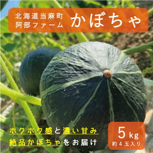 yӂ邳Ɣ[Łzy2025NYz ڂ kC 5kg Â zNzN  t@[ _[Nz[X J{` Z   