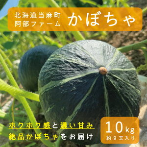 yӂ邳Ɣ[Łzy2025NYstzڂ kC 10kg Â zNzN  t@[ _[Nz[X J{` Z   