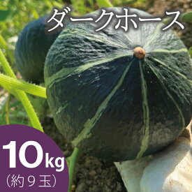 【ふるさと納税】【2026年産先行受付】かぼちゃ 北海道 10kg 甘い ホクホク 当麻町 阿部ファーム ダークホース カボチャ 南瓜 野菜 お取り寄せ 送料無料