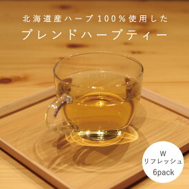 【ふるさと納税】ハーブティー Wリフレッシュ 1袋 6パック入り 北海道産 ハーブ ミント ミントティー 北海道 当麻町 送料無料 3000円 以下 清涼感 爽やか ダブルミント 口臭予防 お取り寄せ 3000円以下 4000円以下 5000円以下