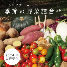 【ふるさと納税】 2024年予約 そうまファーム野菜セット 無農薬 無化学肥料 野菜詰め合わせ ぷちぷよ 白ナス とうもろこし にんにく ブルーベリー 玉ねぎ じゃがいも ビーツ ゴーヤ かぼちゃ 採れたて 新鮮 旬 相馬ファーム 数量限定 送料無料 北海道 当麻町 お取り寄せ