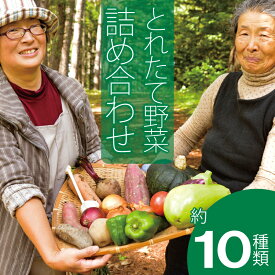 【ふるさと納税】 2026年産 そうまファーム 野菜セット 無農薬 無化学肥料 野菜詰め合わせ ぷちぷよ 白ナス とうもろこし にんにく ブルーベリー 玉ねぎ じゃがいも ビーツ ゴーヤ かぼちゃ 採れたて 新鮮 旬 相馬ファーム 数量限定 送料無料 北海道 当麻町 お取り寄せ