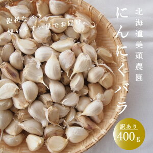 yӂ邳Ɣ[Łzɂɂ o 400g 󂠂 jjN ΂   ֗ Yn kCY Y kC 4000~ 5000~ ȉ    ʌ _