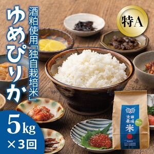 yӂ邳Ɣ[Łzߘa7NY@ A ߂҂肩 5kg×3 A kC   jR Ǝ͔|@  3 c_  A 10kg ʌ     