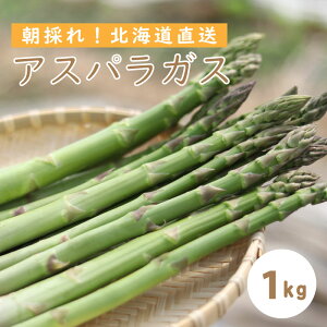 yӂ邳Ɣ[Łz 2026NY\ AXpKX 1kg ͔|Ԓ _ w엿 kC Â AXp kCY  ATet@[ ̂ ̂ VN { ʌ   