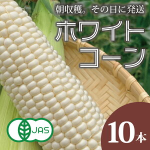 yӂ邳Ɣ[Łz 2026NY\ zCgR[ L@͔| _ w엿 kC Â Ƃ낱 gERV R[ kCY  ATet@[ ̂ ̂ VN { R[ 