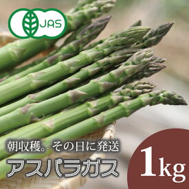 【ふるさと納税】 2026年産予約 アスパラガス 1kg 栽培期間中 無農薬 無化学肥料 北海道 甘い アスパラ 北海道産 野菜 アサンテファーム 朝採り 朝採れ 新鮮 旬 数量限定 送料無料 当麻町 お取り寄せ