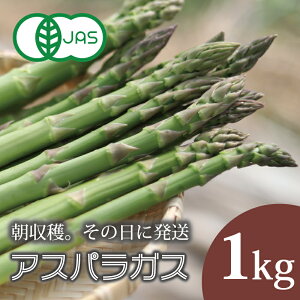 �y�ӂ邳�Ɣ[�Łz 2026�N�Y�\�� �A�X�p���K�X 1kg �͔|���Ԓ� ���_�� �����w�엿 �k�C�� �Â� �A�X�p�� �k�C���Y ��� �A�T���e�t�@�[�� ���̂� ���̂� �V�N �{ ���ʌ��� �������� ������ ����