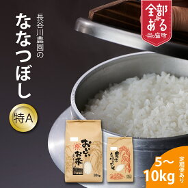 【ふるさと納税】 特A ななつぼし ※令和8年産新米※長谷川農園 北海道米 送料無料（選べる 数量 単品／定期便）5kg 10kg 1回 　3回 6回 12回 人気 お取り寄せ 北海道 当麻町 米どころ