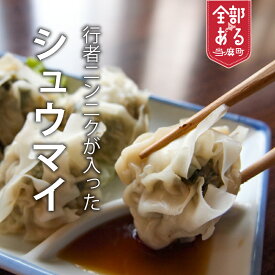 【ふるさと納税】行者にんにくが入ったシュウマイ 20個 冷凍 焼売 九州・沖縄配送不可 居酒屋メニュー もちもち 北海道 当麻町 お取り寄せ グルメ 送料無料 いっしん