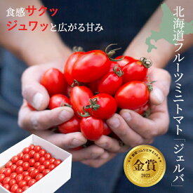【ふるさと納税】金賞受賞 北海道フルーツミニトマト【ジェルバ】1.2kg【Farm of Soul】2023野菜ソムリエサミット金賞 【2025年7月中旬頃より発送予定】とまと ミニトマト 野菜 高糖度 甘い 北海道 比布町 ぴっぷ 1010-001