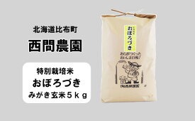 【ふるさと納税】新米先行予約【2024年産】西間農園　おぼろづき(特別栽培米)　みがき玄米　5kg