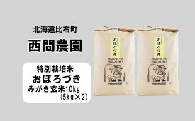 【ふるさと納税】新米先行予約【2024年産】西間農園　おぼろづき(特別栽培米)　みがき玄米　10kg