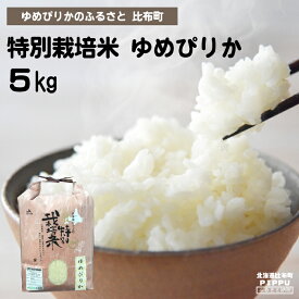 【ふるさと納税】2023年産　ナナプラザ　特別栽培米ゆめぴりか　5kg
