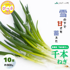 �y�ӂ邳�Ɣ[�Łz�y2026�N1�������z��z���Y�˂��i��{�˂��j�u�{�̍ʂ�B�v 10���yJA�҂��Ւ��z�˂� �l�M �K ���l�M �~���� ��� ���Y �k�C�� ��z�� �҂��� 1001-008