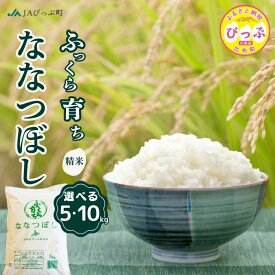 【ふるさと納税】令和7年産 ななつぼし 精米【JAぴっぷ町】選べる容量 5kg 10kg 米 お米 北海道産 北海道米 特Aランク 国産 白米 コメ 北海道 比布町 ぴっぷ