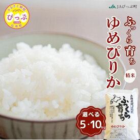 【ふるさと納税】令和7年産 ゆめぴりか 精米【JAぴっぷ町】選べる容量 5kg 10kg 米 お米 北海道産 北海道米 特Aランク 国産 白米 コメ 北海道 比布町 ぴっぷ