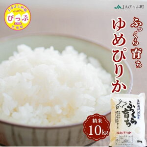 yӂ邳Ɣ[Łzߘa7NY V ߂҂肩 āyJA҂ՒzIׂe 5kg 10kg   kCY kC AN Y  R kC z ҂