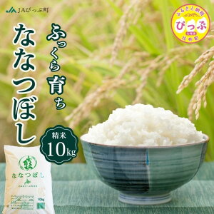 yӂ邳Ɣ[Łzߘa7NY V ȂȂڂ āyJA҂ՒzIׂe 5kg 10kg   kCY kC AN Y  R kC z ҂