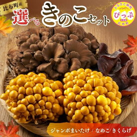 【ふるさと納税】【北海道きのこ品評会 最優秀賞受賞】比布町産 選べるきのこセット（ジャンボまいたけ・なめこ・きくらげ）【遠藤農産】きのこ キノコ セット 詰め合わせ 組み合わせ 舞茸 滑子 木耳 国産 北海道産 北海道 比布町 ぴっぷ 1002-001