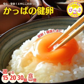 【ふるさと納税】かっぱの健卵【大熊養鶏場】選べる個数 15個/20個/30個 選べるお届け回数 1回 3か月定期便 鶏卵 卵 たまご 玉子 タマゴ 生卵 こだわり 卵かけご飯 TKG 朝ごはん 国産 お取り寄せ 北海道 比布町 ぴっぷ 1006-001