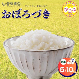 【ふるさと納税】令和7年産 おぼろづき 精米【菅原農産】選べる容量 5kg 10kg　米 お米 北海道米 国産 白米 コメ 北海道 比布町 ぴっぷ