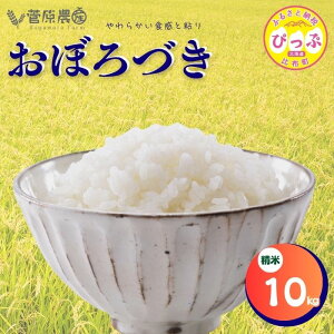 【ふるさと納税】令和7年度産 おぼろづき 精米【菅原農産】選べる容量 5kg 10kg 米 お米 北海道米 国産 白米 コメ 北海道 比布町 ぴっぷ