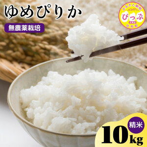 yӂ邳Ɣ[Łzߘa7NY V ߂҂肩 āy_zIׂe 2kg 5kg 10kg _͔| _sgp w엿sgp   kC AN Y  R 2025NY kC z