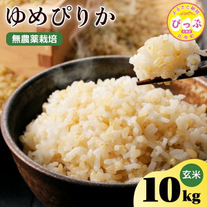 yӂ邳Ɣ[Łzߘa7NY V ߂҂肩 āy_zIׂe 2kg 5kg 10kg _͔| _sgp w엿sgp   kC AN Y R 2025NY kC z 