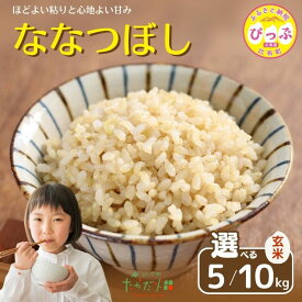 【ふるさと納税】令和7年産 ななつぼし 玄米【たかだ畑】選べる容量 5kg 10kg 米 お米 北海道米 特Aランク 国産 玄米 コメ 2025年産 北海道 比布町 ぴっぷ