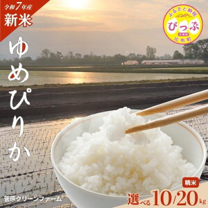 yӂ邳Ɣ[Łzys\z2025NY ߂҂肩 āyN[t@[zIׂe 10kg 20kg   kC AN Y R kC z
