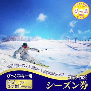 【ふるさと納税】【2025〜2026シーズン】ぴっぷスキー場 シーズン券【大人/ファミリーパック】1枚【比布町】スキー スノーボード スノボ 利用券 チケット 冬 北海道 比布町 ぴっぷ 1455-001