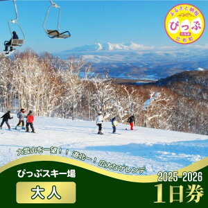 【ふるさと納税】【2025〜2026シーズン】ぴっぷスキー場 1日券【大人】1枚【比布町】スキー スノーボード スノボ 利用券 チケット 冬 北海道 比布町 ぴっぷ 1455-006