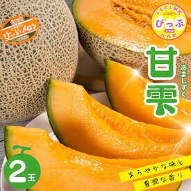 【ふるさと納税】【2025年9月中旬頃発送】ぴっぷメロン「甘雫（あましずく）」 2玉【菅原農産】メロン めろん 果物 くだもの フルーツ 赤肉 秋 旬 お取り寄せ 北海道 比布町 ぴっぷ 1007-001