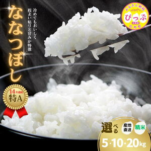 yӂ邳Ɣ[Łz2024NY ȂȂڂ āyq_YzIׂe 5kg 10kg 20kg r[Ly[   kC AN Y  R kC z ҂