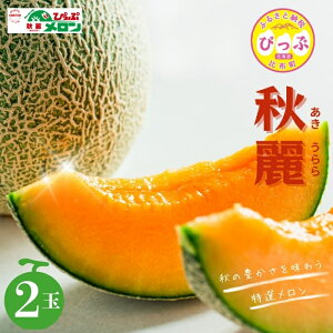 yӂ邳Ɣ[Łzy2026NYs\z҂ՃuHijv 2ʁyN[t@[z ߂ ʕ  t[c ԓ H {  kC z ҂