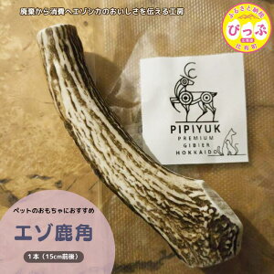 yӂ邳Ɣ[ŁzyybgpzG]p 1{i15cmOjyPIPIYUKz p ybg   Ck  hbOK kC z ҂ 1023-005