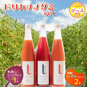 yӂ邳Ɣ[ŁzsJmO~ig}gW[X 2{EV\W[X 1{j e500ml×3{ZbgysJ()zƂ܂ h  Ԃ W[X Hsgp Z JNe  Y_ 