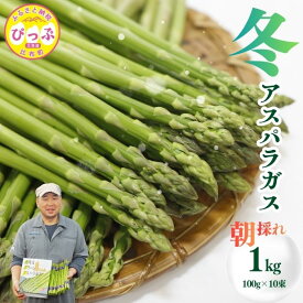 【ふるさと納税】【12月下旬より発送】冬グリーンアスパラ M〜Lサイズ 1kg（100g 10束）【菅原クリーンファーム】伏せ込み栽培 朝採り 野菜 新鮮 緑黄色野菜 国産 北海道産 産地直送 北海道 比布町 ぴっぷ 1020-001