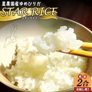 yӂ邳Ɣ[ŁzypIz_Y߂҂肩uSTAR@RICEvi2jyA71113z yVX[p[SALE 9J