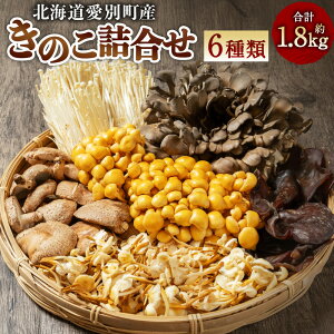 yӂ邳Ɣ[Łẑli6ށjZbg@̂  ő GmL ̂ LNQ Ȃ߂ yB05201z