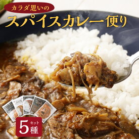 【ふるさと納税】カラダ思いのスパイスカレー便り 5種セット 手作りカレー レトルトカレー スパイスカレー カレー スパイス コク 冷蔵 北海道 愛別町 送料無料