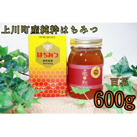 【ふるさと納税】北海道上川町産　純粋はちみつ600g×1本(百花はちみつ)【1302】【1281740】