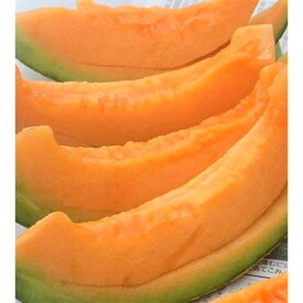 【ふるさと納税】特大サイズ【2026年夏発送】岸田農園産北海道メロン2玉入り(サイズ:1玉2.5kg以上)【213】【1311818】