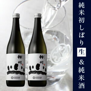 �y�ӂ邳�Ɣ[�Łz�_�� ���āE���ď����ڂ萶 �l���r2�{�Z�b�g�y517�z�y�z���s�n��F�����z�y1463831�z