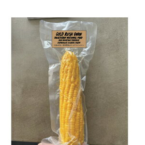 【ふるさと納税】大雪山の黄金 〜 岸田農園の GOLD RUSH CORN【1610197】