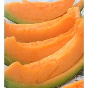 yӂ邳Ɣ[Łzy2026NĔzݓc_@ԓ1(TCY1.8kgȏ)y1684611z