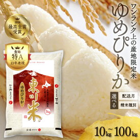 【ふるさと納税】【精米種別・配送月・容量を選べる】令和6年産先行予約「ゆめぴりかコンテスト2019」最高金賞受賞！東川米「ゆめぴりか」